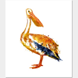 Pelican watercolor painting Posters and Art